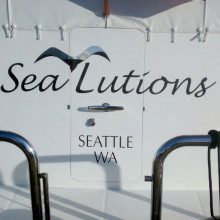 Sea lutions seattle wa.